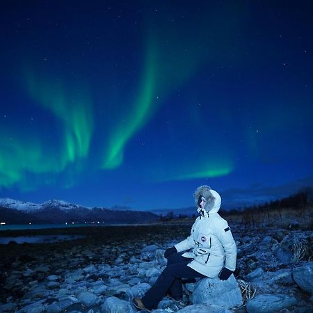Arctic Rooms Rektor Tromsø Zewnętrze zdjęcie